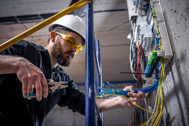 Best Electrical System Inspection  in Jerome, IL