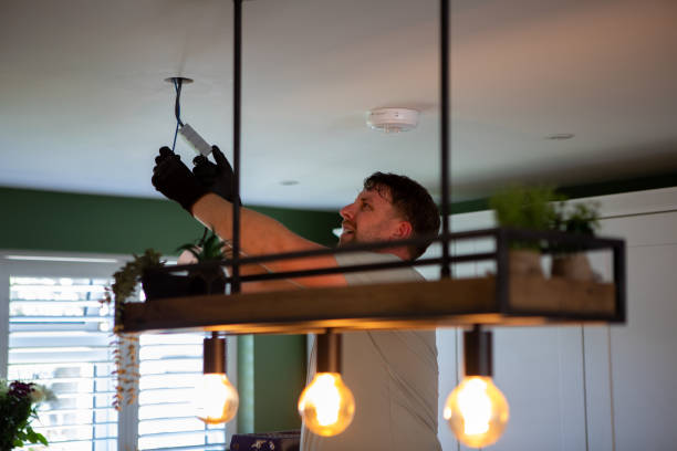 Best Licensed Electrician  in Jerome, IL
