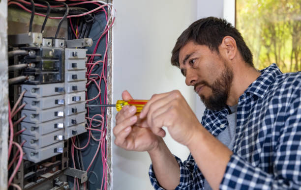 Best Electric Panel Repair  in Jerome, IL